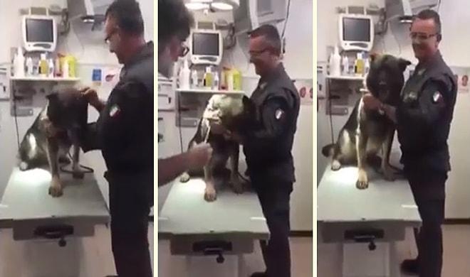 Suçlulara Nefes Aldırmayan Ancak Veterinerde İğne Karşısında Ponçiğe Dönüşen Polis Köpeği