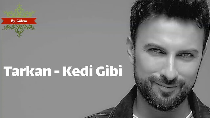 Tarkan - Kedi Gibi Şarkı Sözleri