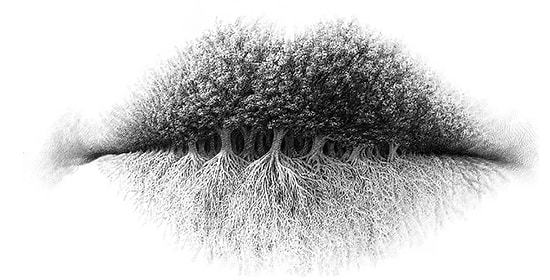 Тест: Что видите первым? Ответ раскроет ваш истинный характер