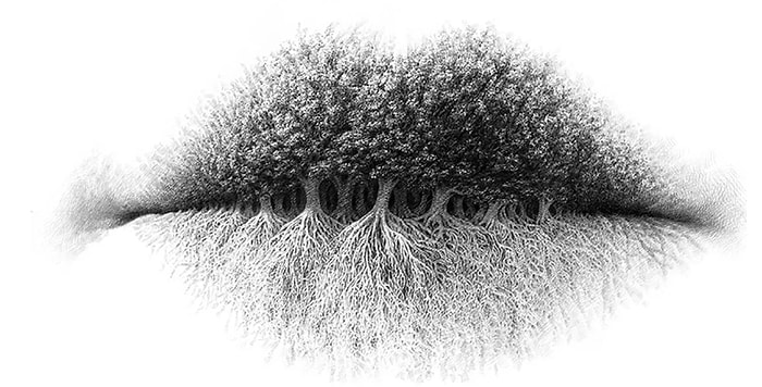 Тест: Что видите первым? Ответ раскроет ваш истинный характер