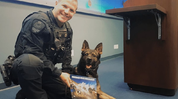 8. Они натренированы на поиск, преследование, обнаружение улик, наркотических веществ, оружия и взрывных устройств.