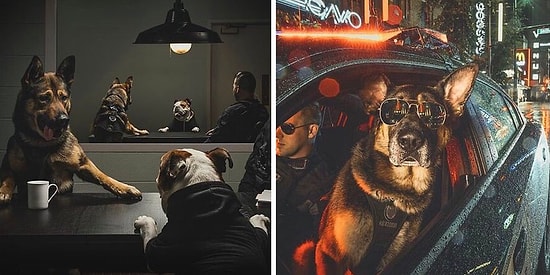 Ванкуверская полиция выпустила календарь-2019 со служебными собаками, и это серьезный вызов австралийским пожарным с кенгуру