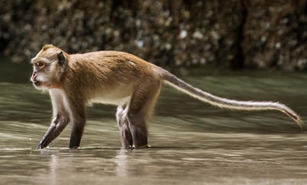 Посмотреть правильный ответ 👇