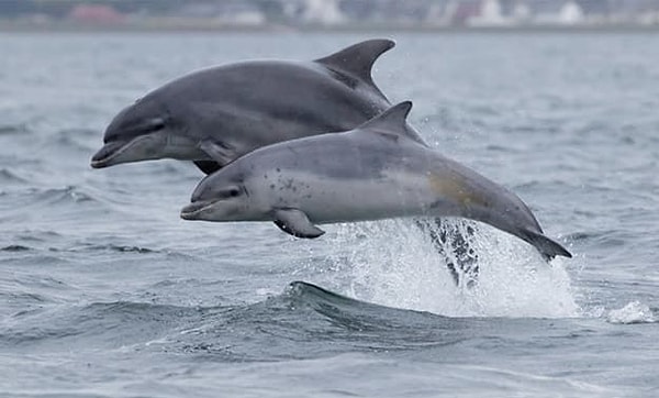 Посмотреть правильный ответ 👇