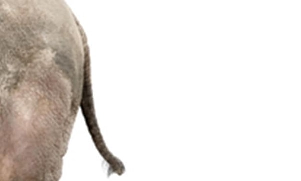 8. Что думаете?