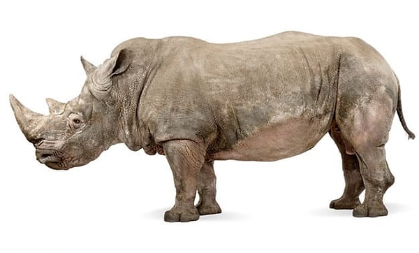 Посмотреть правильный ответ 👇