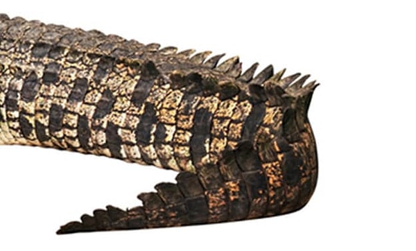 9. Последний вопрос: чье это богатство?