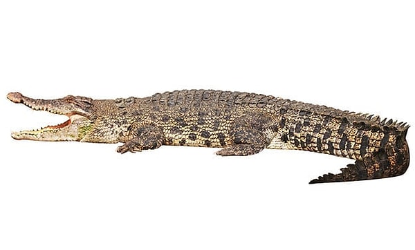 Посмотреть правильный ответ 👇