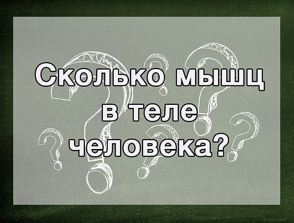 5. Есть предположения?