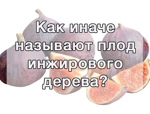 9. Что скажете?