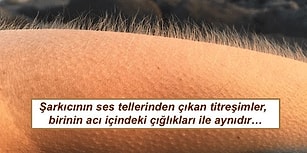 Tüylerimizin Diken Diken Olmasına Aslında Ne Sebep Oluyor Biliyor musunuz?
