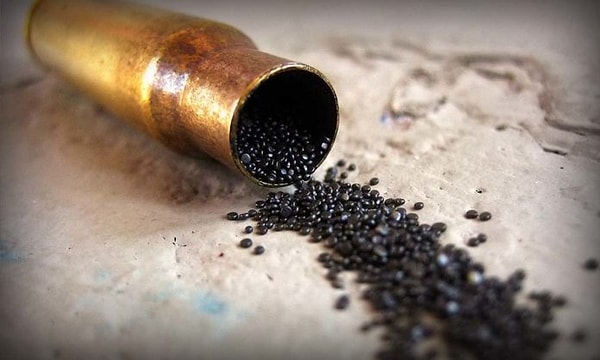 7. А фраза «Есть еще порох в пороховницах» откуда?