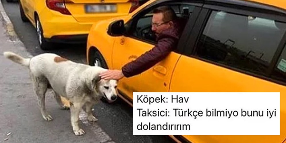 Yaptıkları Yorumlarla Hepimizin İçinden Geçenleri Dışa Vurmuş 15 Goygoycu