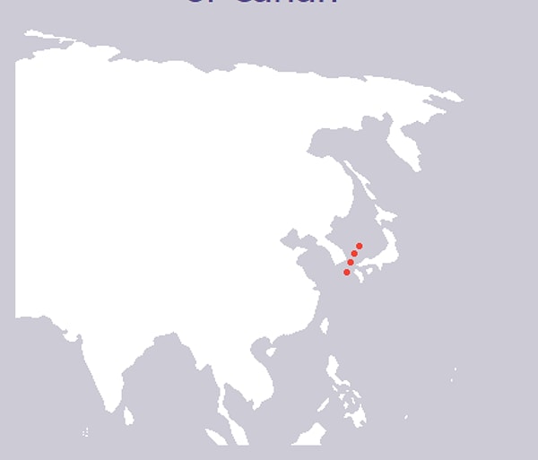 3. Это не что иное, как...