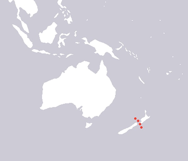 7. А это что?