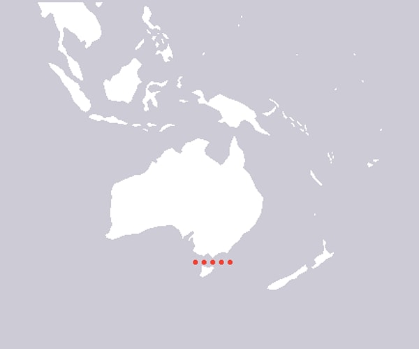 4. Название этого места знают единицы. А вы?