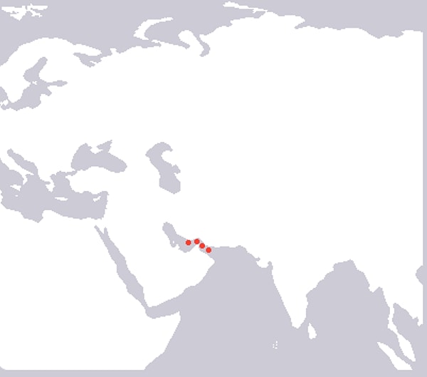 9. И последний наш вопрос! Что у нас тут??