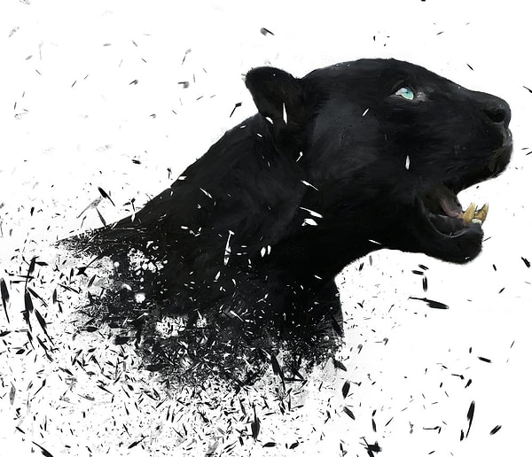 Близнецы — Черная пантера