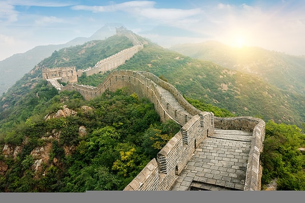 10. Национальное животное Китая - это...