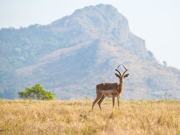 6. Какая страна называется "Umbuso weSwatini" на языке большинства ее жителей?