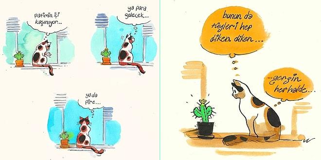 Evde Cat Başına! Kedi Arife'nin Ev Hayatına Tebessüm Ederek Tanık Olacağınız 13 Karikatür