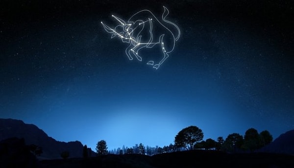 2. Телец: чем больше, тем лучше