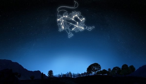 5. Лев: скорее дремлет, чем спит