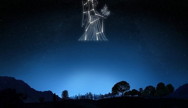 6. Дева: 7 часов, если много работают