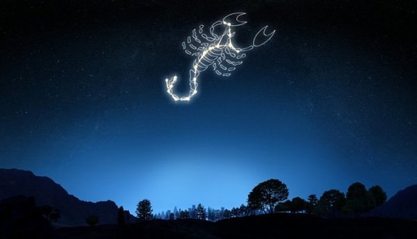 8. Скорпион: больше, чем он сам думает