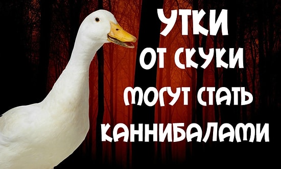 10 жутких фактов, которые пощекочут вам нервы и напомнят о том, что Хэллоуин уже стоит на пороге