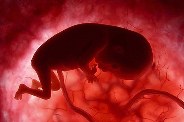 5. Малыши в утробе могут напугаться и начать плакать. Но из-за отсутствия воздуха и наличия в их легких околоплодной жидкости, плакать они будут беззвучно, и их никто не услышит.