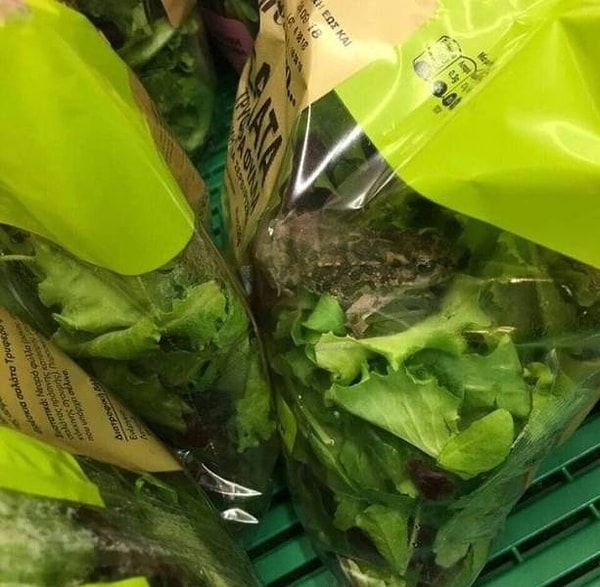 3. Салатик свежее некуда