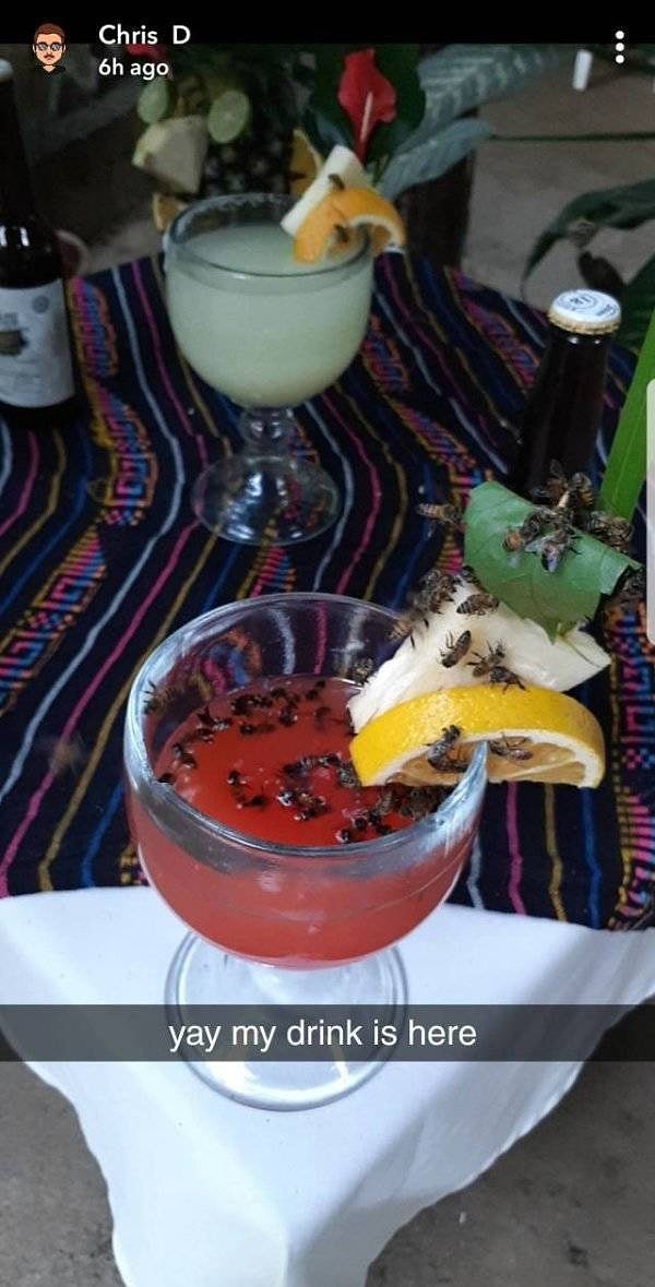 12. Минусы отдыха в экзотических странах - насекомые, миллионы насекомых