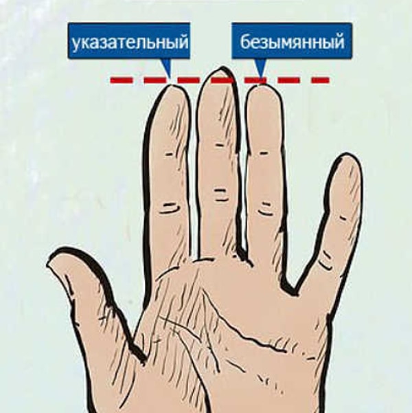 Согласно исследованию британских ученых, вы - гетеросексуальной (стандартной) ориентации!