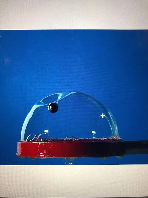 10. Кто-то успел сделать фото до того, как пузырь лопнет 😱