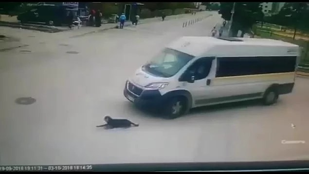 10. Hayvanlara işkencenin asla bitmediği canım ülkemiz! Servis minibüsünün şoförü yolda yatan köpeği ezdi ve yoluna devam etti.