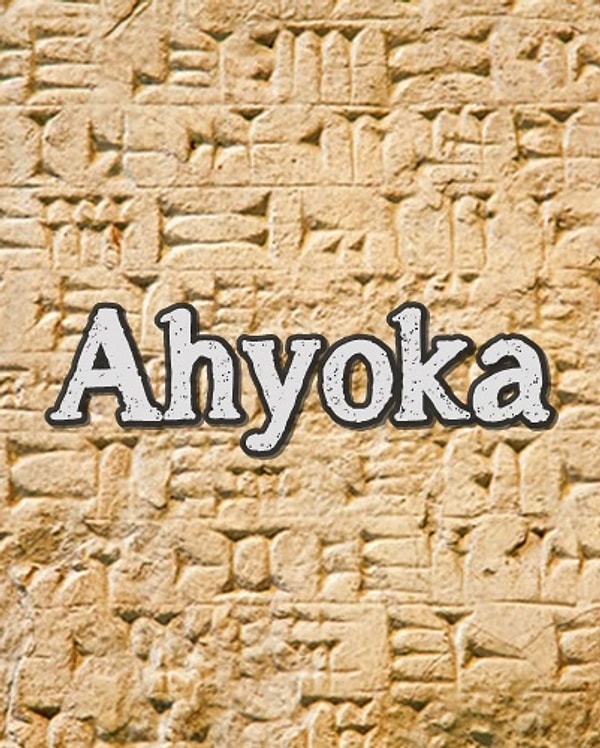 В первобытном обществе вас бы звали Айока!