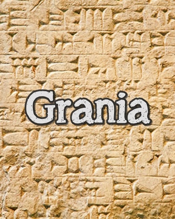 В первобытном обществе вас бы звали Граниа!