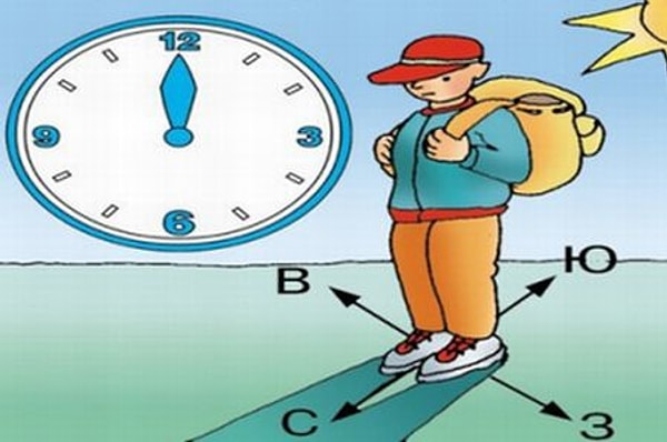 Посмотреть ответ: