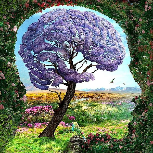 Для этого вам достаточно взглянуть на эту картинку и ответить на вопрос: что первым вы увидели на ней?