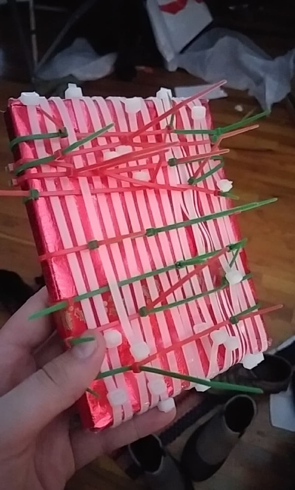 11. Приз за лучший подарок для сестры уходит этому жестокому, но предприимчивому братцу