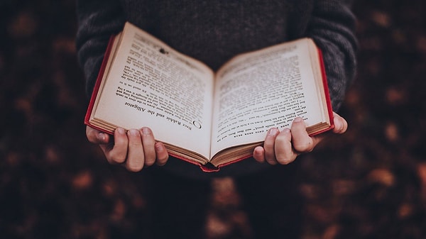 2. «В горных долинах моей страны много удивительных цветов и много дев, превосходящих эти цветы красотой лика и стана, но ещё ни разу не встречал я в Гондоре ни цветка, ни девы, которые сравнились бы с тобой по красоте и печали. Может статься, через малое число дней мир покроет тьма, и я надеюсь встретить её мужественно – но на сердце у меня было бы легче, если бы в оставшиеся нам солнечные дни я мог иногда видеть твоё лицо».