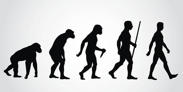 2. Evrim teorisine göre insanlar maymundan gelmiştir?