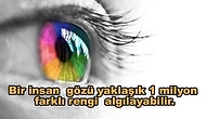 1 Milyon ile İlgili Ufkunuzu Bir Kat Daha Genişletecek 11 Enteresan Bilgi