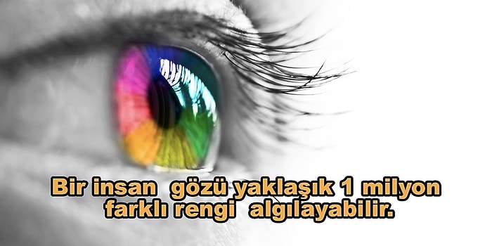 1 Milyon ile İlgili Ufkunuzu Bir Kat Daha Genişletecek 11 Enteresan Bilgi