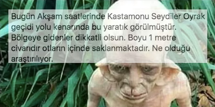 Kastamonu'da Görülen Gizemli Yaratık Trollemesine Gelen Birbirinden Acayip Tepkiler