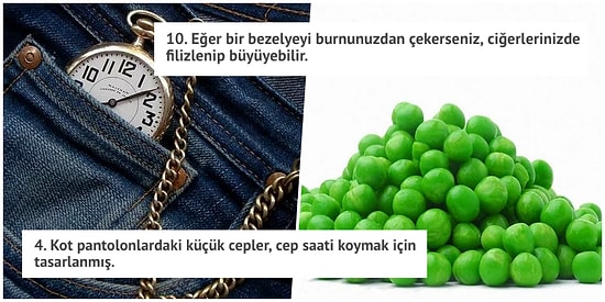 Öğrendiğinizde Bir Yaşınıza Daha Gireceğiniz Birbirinden Acayip 25 Bilgi