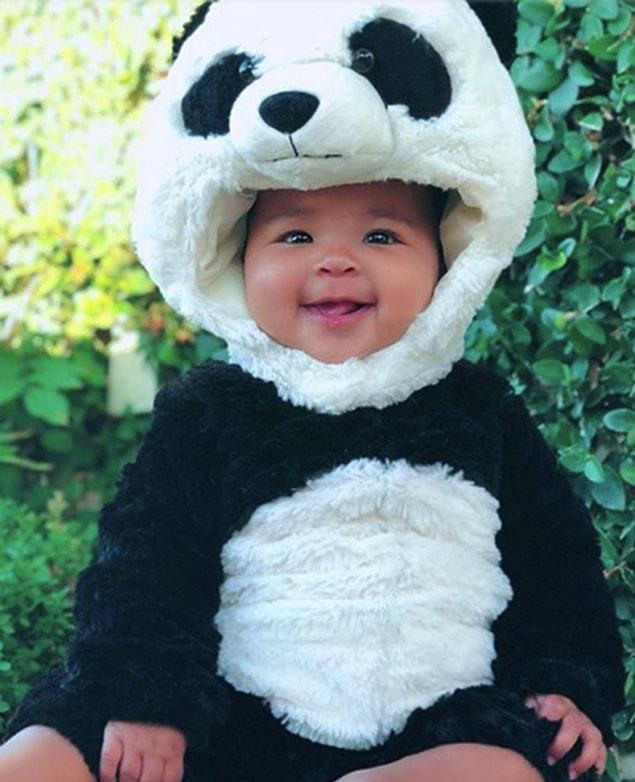 True as cutest panda!
