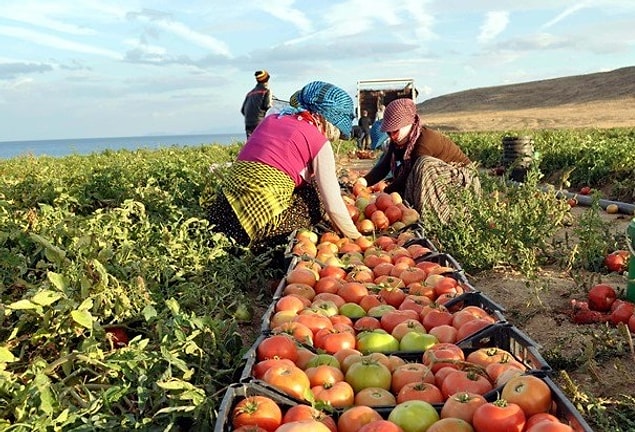 📌 Yurt içi üretici fiyatlarında ise yıllık artış yüzde 45 seviyesinde.