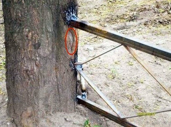 1. Самая лучшая сварка